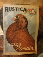 Rustica. 1954. N°33   Pigeon Romain - Animaux