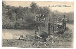 TREIGNY - Le Pont Des Canards Et L'abrevoir - Treigny