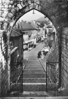 73 - CHAMBERY : Chateau Des Ducs De Savoie - Portail St Dominique Rue Veyrat - CPSM Photo Dentelée Grand Format - Savoie - Chambery