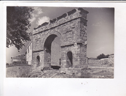 CPM PHOTO MEDINACELI,ARCO ROMANO - Soria