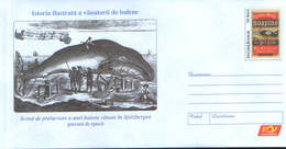Romania - Stationery Cover Unused 2006(019) -  Illustrated History,hunting, Whales - Whales