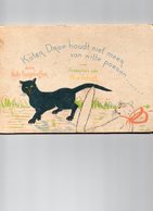 Kater Drop Houdt Niet Meer Van Witte Poesen / Nelly Burgdorffer ; Illustraties Nico Schuyt / Maker Auteur: Burgdorffer - Jeugd