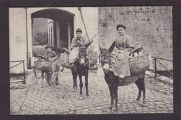 CPA Ane Donkey Circulé Types Basque - Anes