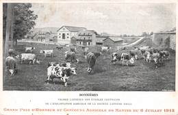 78-BONNIERES-SUR-SEINE-VACHES LAITIERES DES ETABLES CENTRALES DE L'EXPLOITATION AGRICOLE DE LA STE LAITIERE MAGGI - Bonnieres Sur Seine