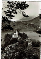 Delcampe - Duingt  Le Chateau   1233 - Duingt