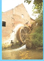 Sint-Denijs-Boekel (Zwalm-Oost-Vlaand.)1984-Maldergemmolen-Watermolen-Roue Du Moulin à Eau-Mill-Foto R.Buysse, Merelbeke - Zwalm