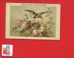 LYON Chocolat REVILLON Très Jolie Chromo Vieillemard Oiseau Rouge Gorge Nid Fleurs Roses Rosier ! - Revillon