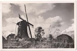 Naarden - Naardermeer - & Windmll - Naarden