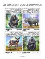 Centrafrica 2019, Animals In Danger, Rhino, Jena, BF - Schimpansen