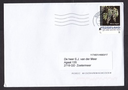 Netherlands: Cover, 2020, 1 Stamp, Painting Of Flower, Art (traces Of Use) - Storia Postale