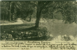 AK GERMANY - GRUSS AUS RHEINSBERG I. M. - PARTIE AUS DEM PARK - VERLAG C. BEETZ - 1900s (BG7995) - Rheinsberg