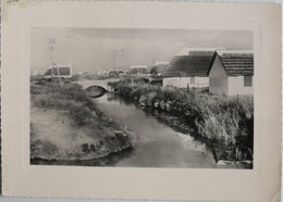 Arrivée Aux Sainte-maries-de-la-mer En Camargue, N° 10150 - Saint-Louis-du-Rhône