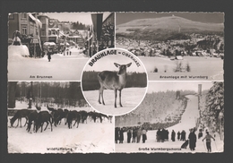 Braunlage - Oberharz - Multiview - 1958 - Braunlage