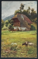 1910 Carte Illustrée A.Hoffmann, Im Blühenden Weisengrund, Germany, Allemagne - Hoffmann, Anton - Munich