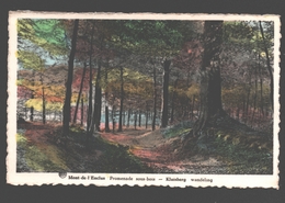 Kluisbergen / Kluisberg - Wandeling - 1955 - Kluisbergen