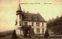 90    Territoire De Belfort   Giromagny   Château Ritter - Giromagny