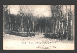 Genk / Genck - Campine Limbourgeoise (Paysage Hivernal) - 1907 - Genk