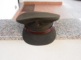 HOLLAND ARMY - FIELD DRESS UNIFORM - GREEN HAT - Casques & Coiffures