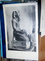 TORINO MUSEO EGIZIO STATUA DI AMENHOTPE II N1940 HL5479 - Musées