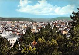 1093"NUORO - PANORAMA"  CARTOL ORIGINALE - Nuoro