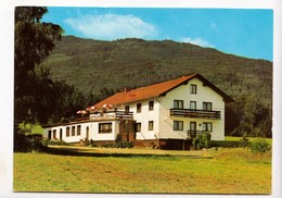 Cafe Pension Schwed, Neukirchen Beim Heiligen Blut,  Unused Postcard [23944] - Cham