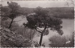 MOISDON-la-RIVIERE - Un Coin Pittoresque De L'Etang De La Forge - CPSM PF - Moisdon La Riviere