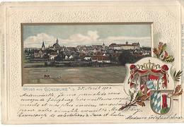 Allemagne   Guenzburg  Gruss Aus Gunzburg  Carte Avec Leger Relief - Guenzburg