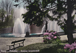 Torino - Valentino - Fontana Monumentale - Fg Vg - Parcs & Jardins