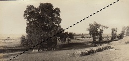 1916 Photo Panoramique Armée Française Au Front De Salonique Macédoine Camp D'approvisionnement à Tombe - Krieg, Militär