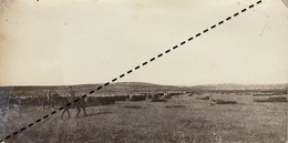 1916 Photo Panoramique Armée Française Au Front De Salonique Macédoine Revue Général Bailloud Entre Rombe Et Jicktar - Krieg, Militär