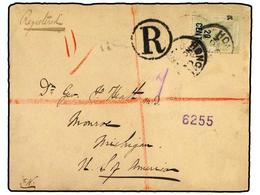 HONG KONG. 1891. 20 C. On 30 C. Gray Green, Tied By HONG KONG Cds¦s On A Registered 1895 Cover To MICHIGAN, With Three B - Sonstige & Ohne Zuordnung