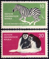 DDR - DRESDENER  ZOO - ZEBRA - **MNH - 1961 - Monkeys