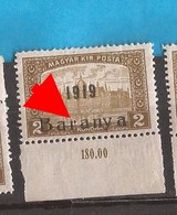 1919  18-34   BARANYA  UNGARN SERBIA JUGOSLAVIJA OVERPRINT. - B. TYP. II   INTERESSANT  - NEVER HINGED - Baranya