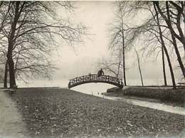 030320 - PHOTO ANCIENNE LYON 6ème Arrondissement Parc De La Tête D'or 1907 Hiver - Lyon 6