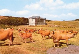 SUR LES MONTS D'AUBRAC F.O.L. LE ROYAL CLASSE TRANSPLANTEE VACANCES - Other & Unclassified