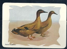 1986 Pocket Poche Calendar Calandrier Calendario Portugal Aves Domesticas Domestic Birds Volaille Corral Ganso N 3/9 - Grand Format : 1981-90