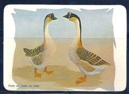 1986 Pocket Poche Calendar Calandrier Calendario Portugal Aves Domesticas Domestic Birds Volaille Corral Ganso N 5/9 - Grand Format : 1981-90