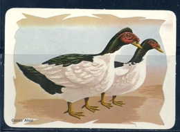 1986 Pocket Poche Calendar Calandrier Calendario Portugal Aves Domesticas Domestic Birds Volaille Corral Ganso N 8/9 - Grand Format : 1981-90