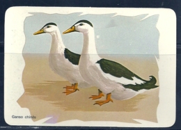 1986 Pocket Poche Calendar Calandrier Calendario Portugal Aves Domesticas Domestic Birds Volaille Corral Ganso N 9/9 - Grand Format : 1981-90