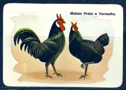 1989 Pocket Calendar Calandrier Calendario Portugal Aves Domesticas Domestic Birds Volaille Corral Galo Rooster Coq Gall - Grand Format : 1981-90