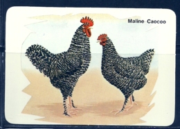 1989 Pocket Calendar Calandrier Calendario Portugal Aves Domesticas Domestic Birds Volaille Corral Galo Rooster Coq Gall - Grand Format : 1981-90