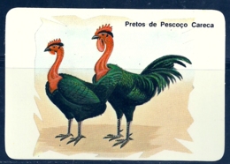 1989 Pocket Calendar Calandrier Calendario Portugal Aves Domesticas Domestic Birds Volaille Corral Galo Rooster Coq Gall - Grand Format : 1981-90