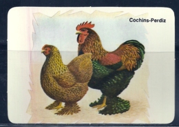 1989 Pocket Calendar Calandrier Calendario Portugal Aves Domesticas Domestic Birds Volaille Corral Galo Rooster Coq Gall - Grand Format : 1981-90