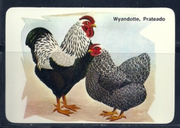 1989 Pocket Calendar Calandrier Calendario Portugal Aves Domesticas Domestic Birds Volaille Corral Galo Rooster Coq Gall - Grand Format : 1981-90