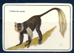 1987 Pocket Calendar Calandrier Calendario Portugal Animais Selvagens Macacos Monkeys Mono Singe Colobo De Angola - Grand Format : 1981-90