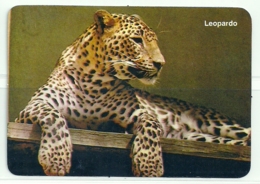 1986 Pocket Calendar Calandrier Calendario Portugal Animais Selvagens Leopardo Leopard Onça - Grand Format : 1981-90