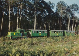 40, Marquèze, Sabres, Le Train De Marquèze - Sabres