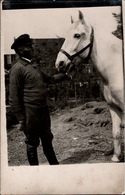 ! Old Photopostcard, Foto, Pferd , Horse, Cheval, 1937, Echtfoto An Zeltlager Zeltlager Jungbann Lindlar - Pferde