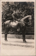 ! Old Photo Postcard, Foto, Pferd , Horse, Cheval, Echtfoto - Cavalli