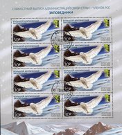 Arktis-Vögel 2018 Rußland 2538 8-KB O 32€ Schnee-Eule Eis-Berge Bloque Birds Hoja Fauna Bloc Nature Sheet Bf RUSSIA - Schützen Wir Die Polarregionen Und Gletscher